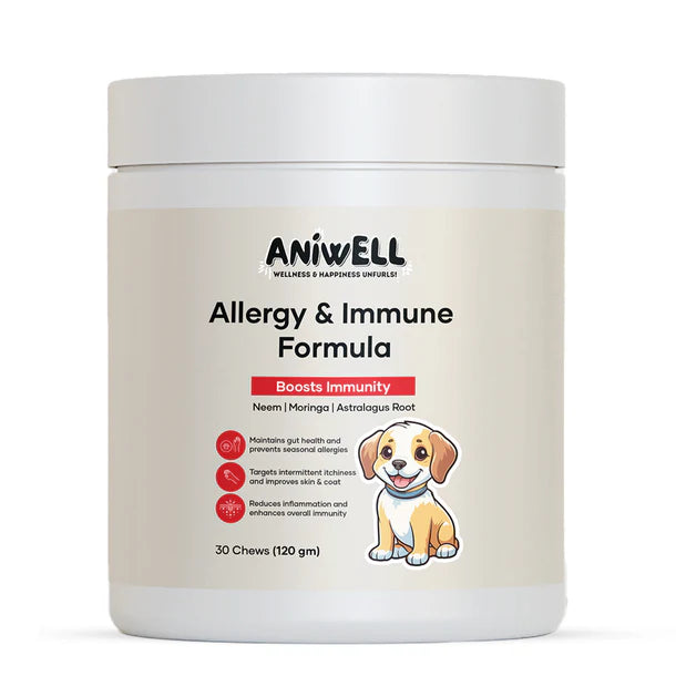 IMMUNIBITES: GALLETAS PARA PERROS SISTEMA INMUNOLÓGICO 🐶💪
