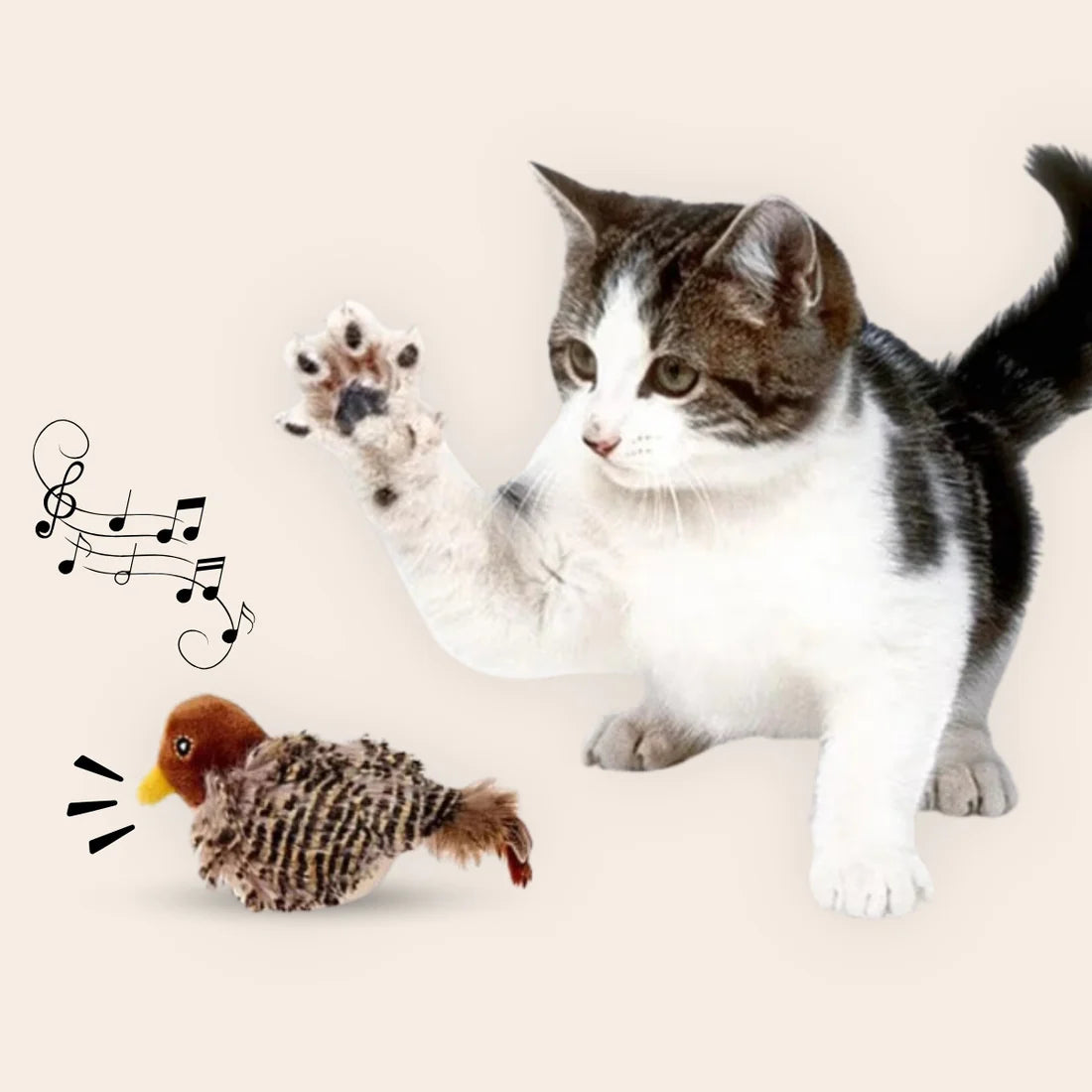 CATBIRD: JUGUETE PÁJARO PARA GATO 🐱🐦