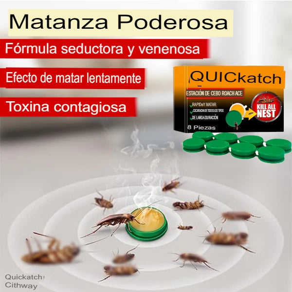 CLEANTRAP: TRAMPA MATA CUCARACHAS 🚫