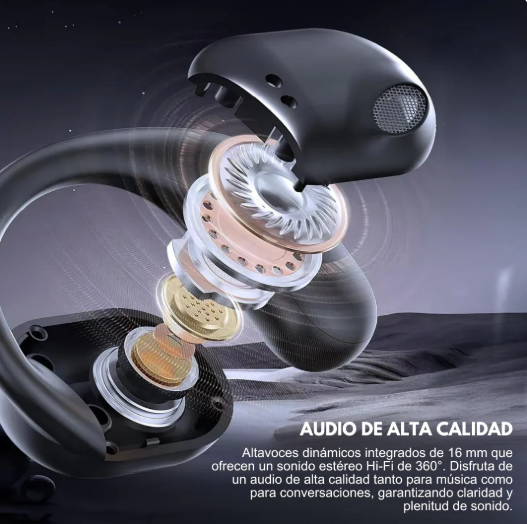 TALKBUDS: AUDIFONOS TRADUCTORES👂