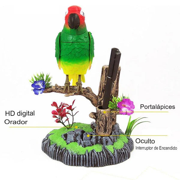 BIRDCALM: PAJARITO RELAJANTE CON SONIDO🐦