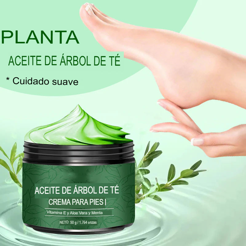 🌿 DUO REGENERA: 2X1 CREMA ULTRA HUMECTANTE DE ALOE VERA Y ÁRBOL DE TÉ 🌿