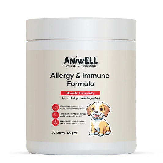 IMMUNIBITES: GALLETAS PARA PERROS SISTEMA INMUNOLÓGICO 🐶💪