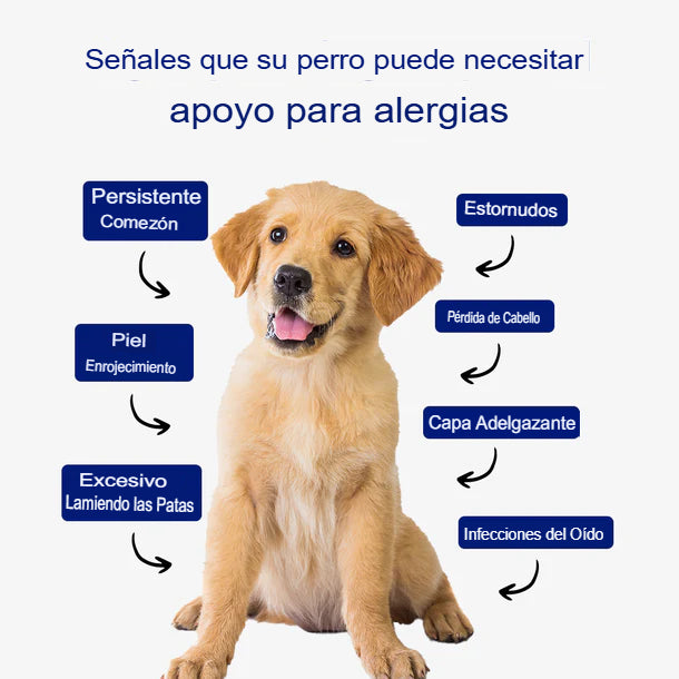 IMMUNIBITES: GALLETAS PARA PERROS SISTEMA INMUNOLÓGICO 🐶💪