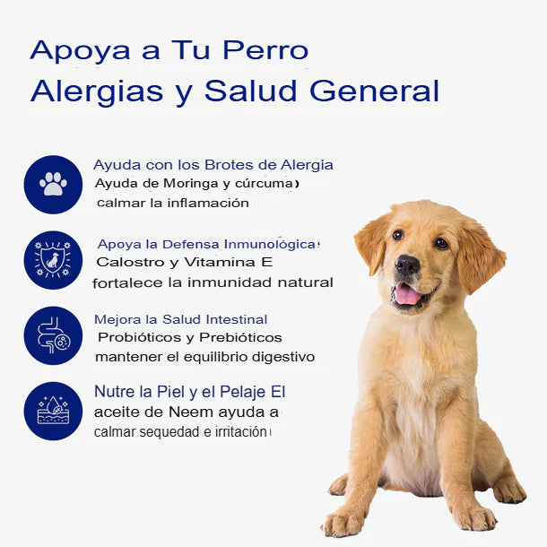 IMMUNIBITES: GALLETAS PARA PERROS SISTEMA INMUNOLÓGICO 🐶💪