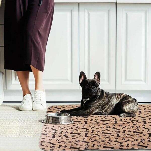 PROTECT FLOOR: TAPETE IMPERMEABLE ANTIFLUIDOS💦❌