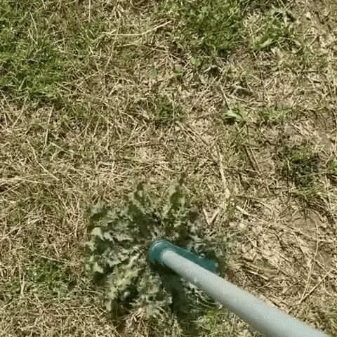 GREENGONE: ELIMINADOR DE MALEZA 🌾🚫