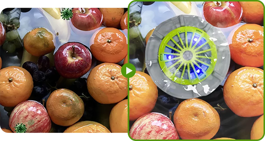 PUREWASH: LIMPIADOR DE FRUTAS Y VEGETALES 🍎💧