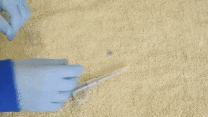 SET X 2 DISPENSAPET: DISPENSADOR DE MEDICAMENTOS PARA MASCOTAS💉🐶
