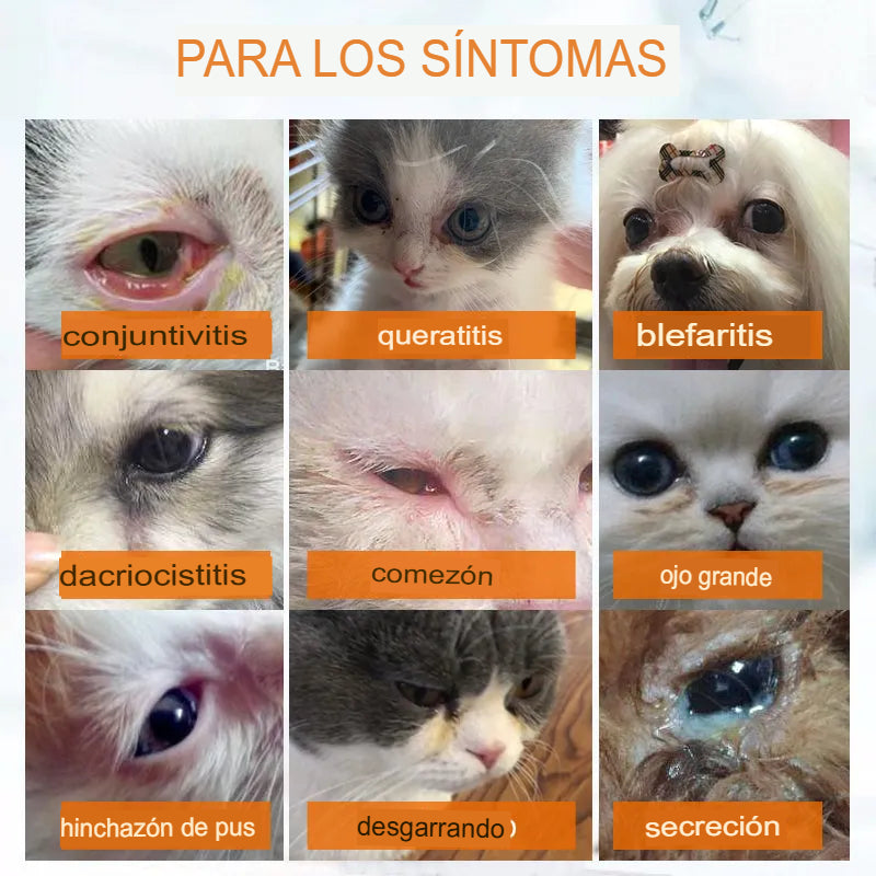 LÁGRIMALES HIDRATANTES PARA MASCOTAS 🐶🐱💧