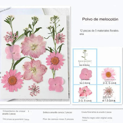 FLORAL SET X10: SEPARADOR DE LIBROS 🌻💎