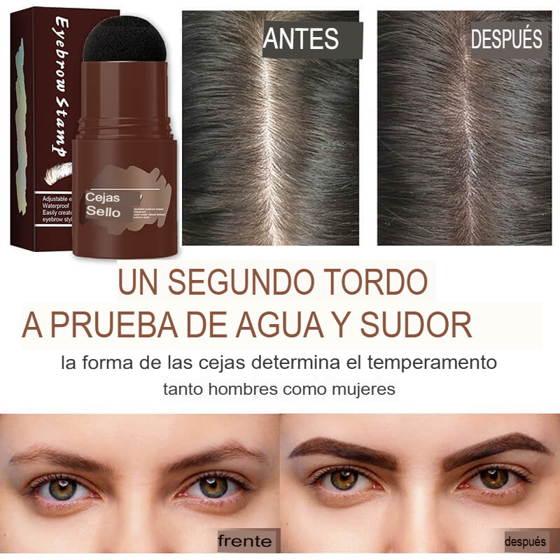 BROW PERFECT: SET DE PLANTILLA Y SELLO DE CEJAS👁️✨
