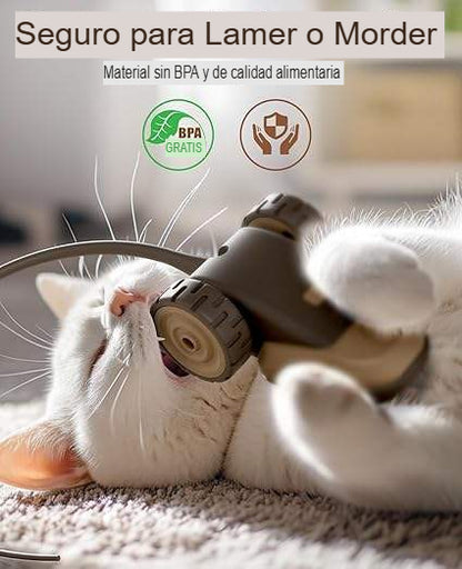 PET FUN: CARRITO INTERACTIVO PARA MASCOTAS🐶
