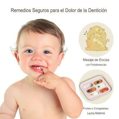 PRIMEROSBOCADOS: SET X2 COMEDORES PARA BEBÉ 🍼🍲