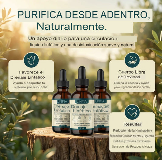 🌿 LYMPH-DETOX: GOTAS DE SOPORTE LINFÁTICO NATURAL 🌿
