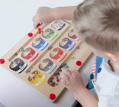 MAGNET LAB KIDS: LABERINTO MAGNÉTICO MONTESSORI 🐞🧲