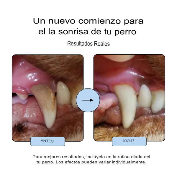 DENTIPETS: 2X1 SUPLEMENTO CONTROL DE PLACA PARA PERROS🐶🐕