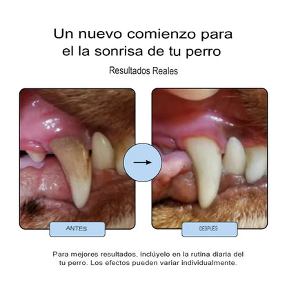 DENTIPETS: 2X1 SUPLEMENTO CONTROL DE PLACA PARA PERROS🐶🐕