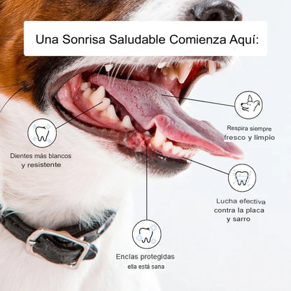 DENTIPETS: 2X1 SUPLEMENTO CONTROL DE PLACA PARA PERROS🐶🐕