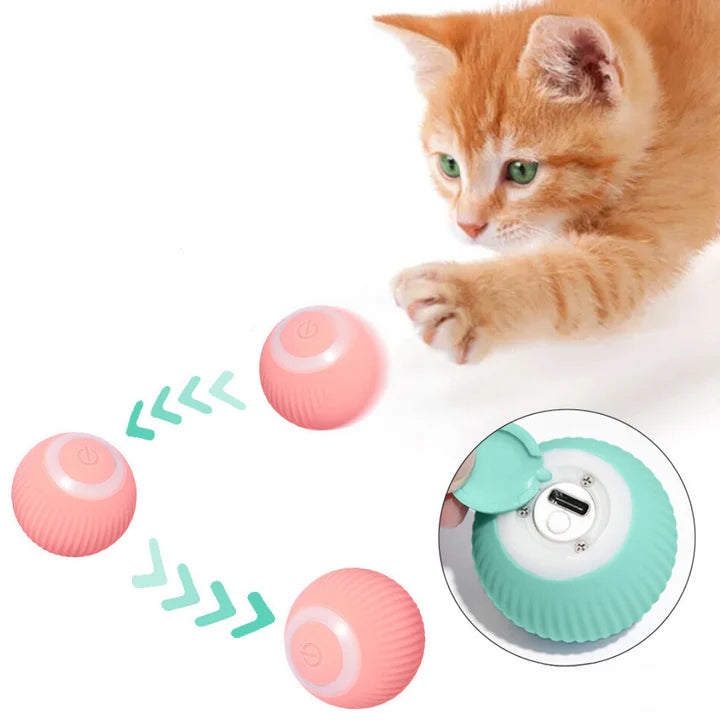 MAGICBALL: PELOTA PARA GATO 🐾✨