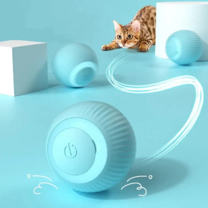 MAGICBALL: PELOTA PARA GATO 🐾✨