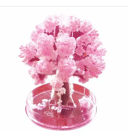 TREEMAGIC: MINI ÁRBOL MÁGICO 🌳🧚