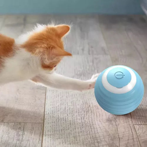 MIAUBALL: PELÓTA INTELIGENTE PARA GATOS🌟🐾💫