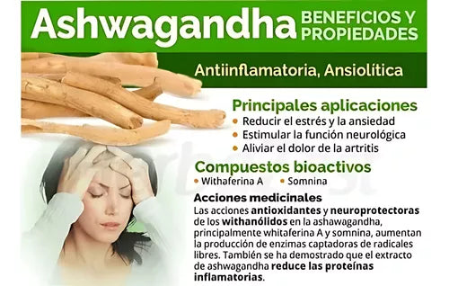 ZENBOOST: 2X1 ASHWAGANDHA 🧘💥
