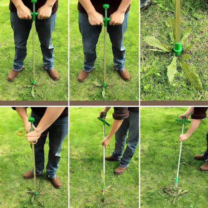 GREENGONE: ELIMINADOR DE MALEZA 🌾🚫