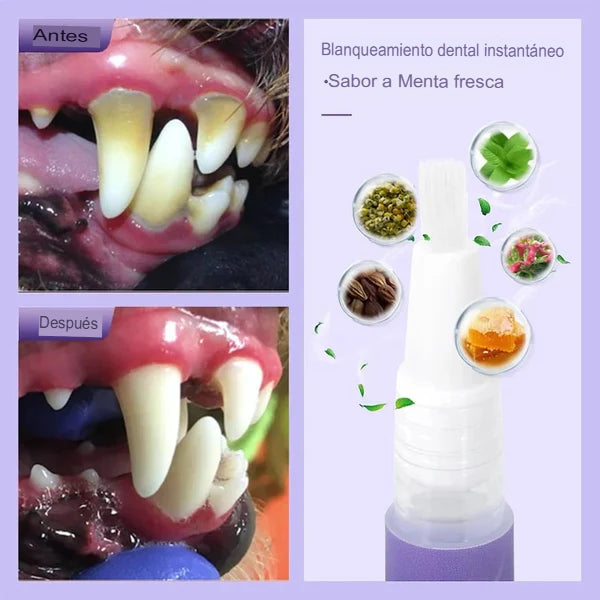 PLACKOFF: X2 GEL ORGÁNICO REMOVEDOR DE PLACA 🦷✨