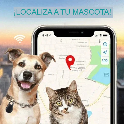 FIND ME SET 2X: LOCALIZADOR GPS