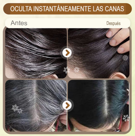 MAGIC HAIR: PROMO 2X1 CEPILLO CUBRE CANAS👩‍🦳