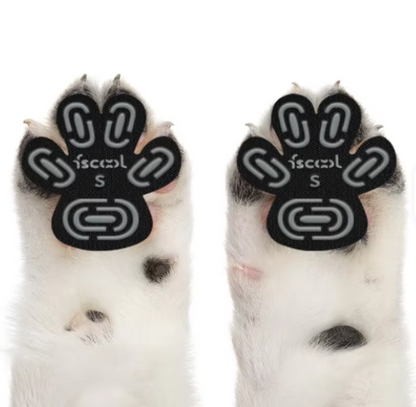 🐾 KIT X4 FUNDAS PARA PATITAS DE PERROS 🐶💖
