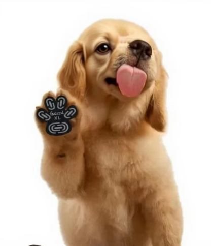 🐾 KIT X4 FUNDAS PARA PATITAS DE PERROS 🐶💖