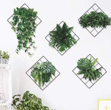 GREENDECO: STICKER DE PLANTAS 🌿✨