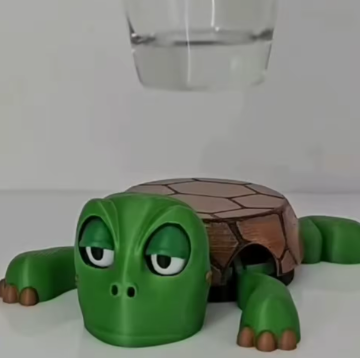 SIPTURTLE: PORTA VASO TORTUGA 🍹🐢