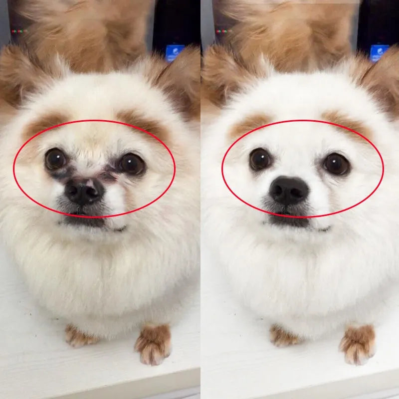 LÁGRIMALES HIDRATANTES PARA MASCOTAS 🐶🐱💧