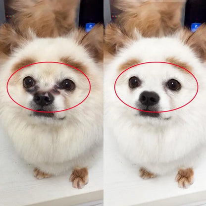LÁGRIMALES HIDRATANTES PARA MASCOTAS 🐶🐱💧