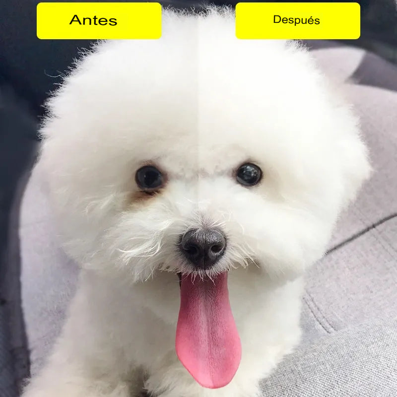 LÁGRIMALES HIDRATANTES PARA MASCOTAS 🐶🐱💧