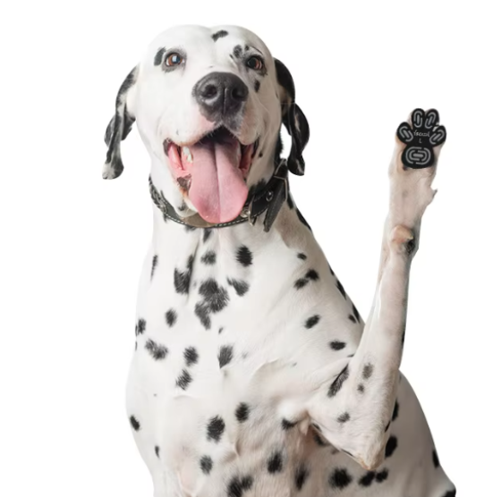 🐾 KIT X4 FUNDAS PARA PATITAS DE PERROS 🐶💖
