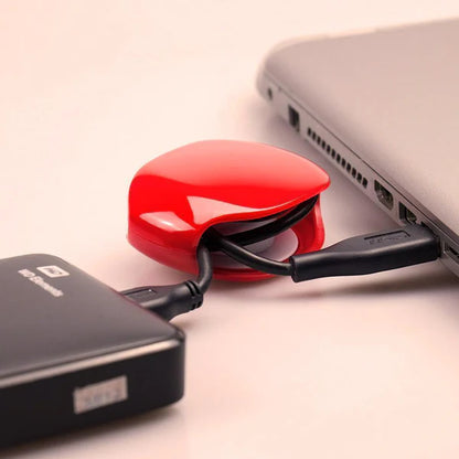 CABLEEASY: X2 SET ENROLLADOR DE CABLES🔌🔄