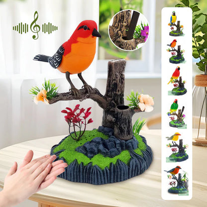 BIRDCALM: PAJARITO RELAJANTE CON SONIDO🐦