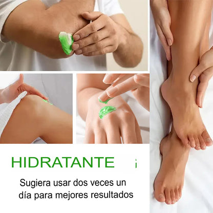 🌿 DUO REGENERA: 2X1 CREMA ULTRA HUMECTANTE DE ALOE VERA Y ÁRBOL DE TÉ 🌿