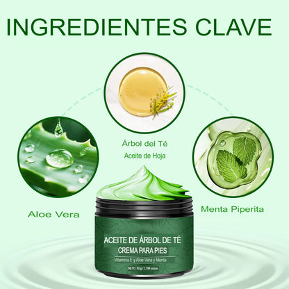 🌿 DUO REGENERA: 2X1 CREMA ULTRA HUMECTANTE DE ALOE VERA Y ÁRBOL DE TÉ 🌿