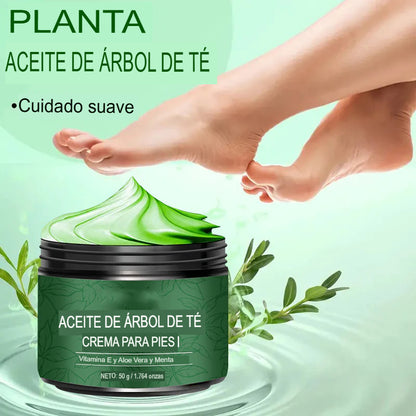🌿 DUO REGENERA: 2X1 CREMA ULTRA HUMECTANTE DE ALOE VERA Y ÁRBOL DE TÉ 🌿