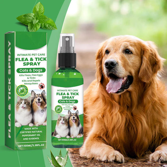 🐾 ECO-GUARD: KIT 2X1 SPRAY NATURAL ANTIPULGAS🐾