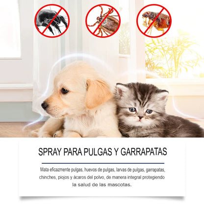 🐾 ECO-GUARD: KIT 2X1 SPRAY NATURAL ANTIPULGAS🐾