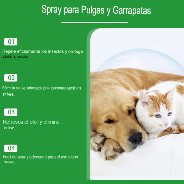 🐾 ECO-GUARD: KIT 2X1 SPRAY NATURAL ANTIPULGAS🐾