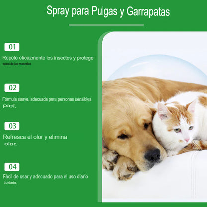 🐾 ECO-GUARD: KIT 2X1 SPRAY NATURAL ANTIPULGAS🐾