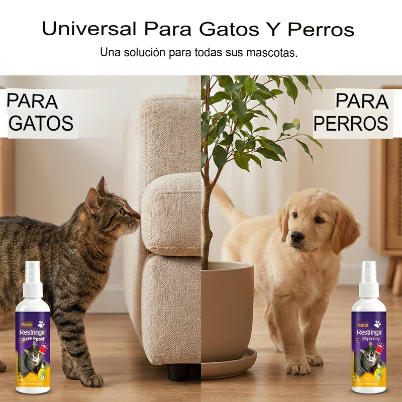 PET TRAINER: PROMO 2X1 SPRAY EDUCADOR DE MASCOTAS🔥🐶
